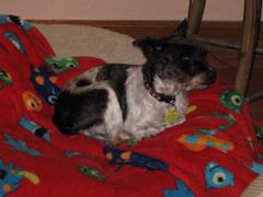 Splash2.JPG Splash2.JPG